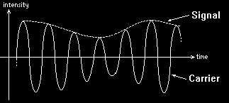 dating femmes guyancourt